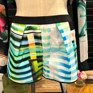 Clover Canyon pastels collection shorts.